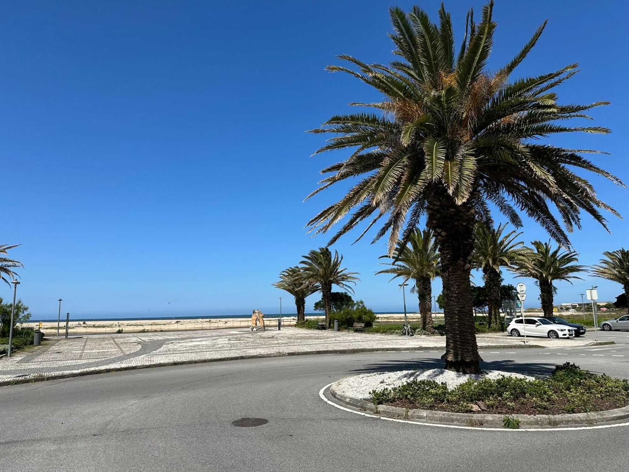 Da Marginal Apartment Esposende